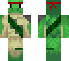 turtle warrior