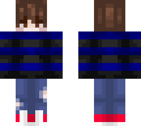 custom skin for shark
