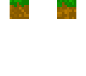 grass block head