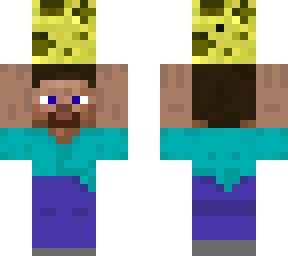 sponge carrier