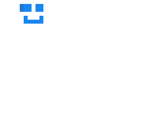 the head