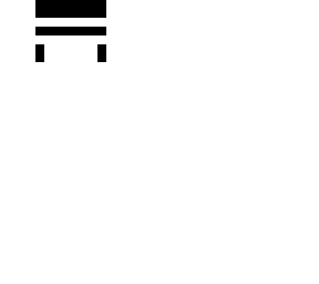 skin template