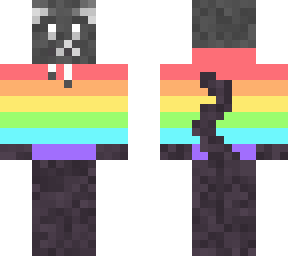 cat in a rainbow hoodie