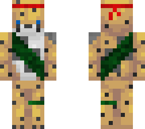 cheetah warrior