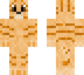 ginger cat