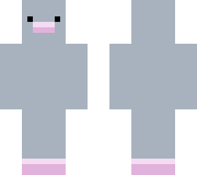 pigeon boi
