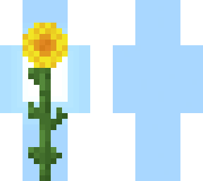 sun-flower