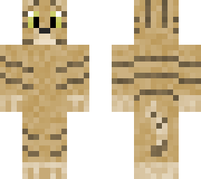 tabby cat