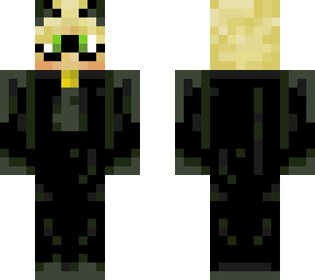 cat noir <3