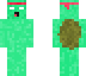 turtle guy