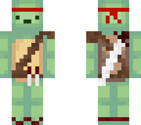 turtle shinobi