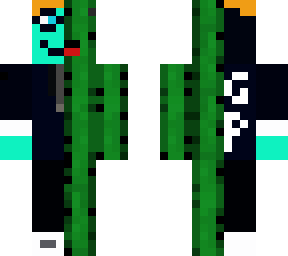 my skin x cactus derp re-edit