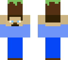 steve holding a grass block