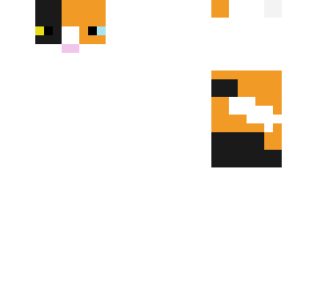 calico cat