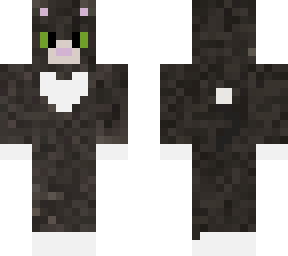 my cat