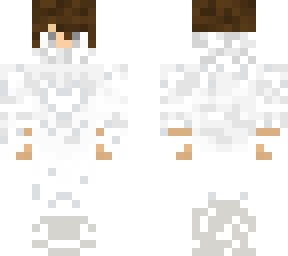 the white knight