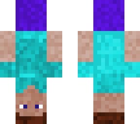 upside down minecraft steve