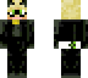 cat noir