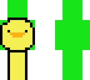 duck