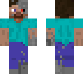 terminator steve