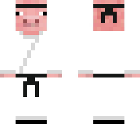ninja pig