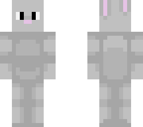 bunny rabbit