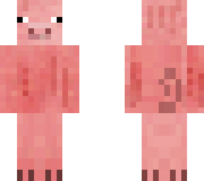 pig