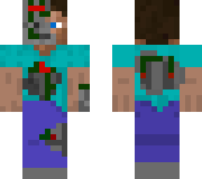 prototype steve