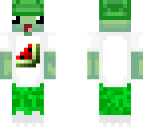 turtle master