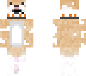 shibe bb8