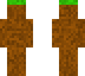 dirt block skin