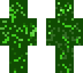 military skin