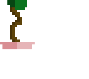 bonsai tree