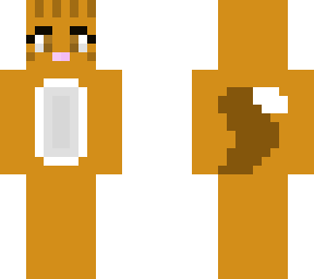 orange cat