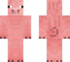 pig