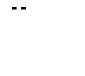 skeleton skin!