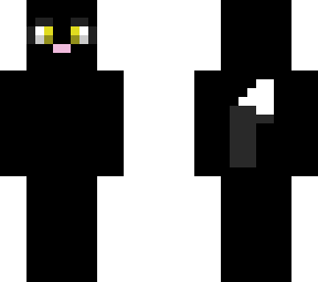 black cat