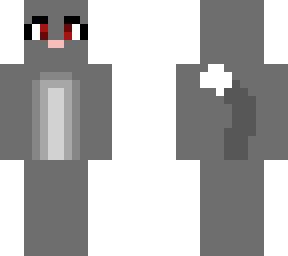 cute gray cat with white belly