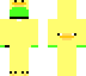dream duck