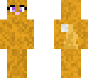 flufy orange cat