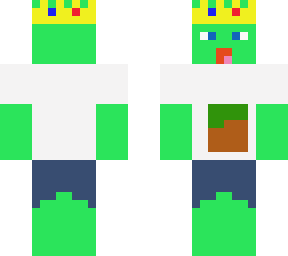 fyhnfafyn's minecraft turtle