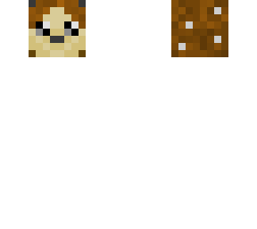 hedgehog