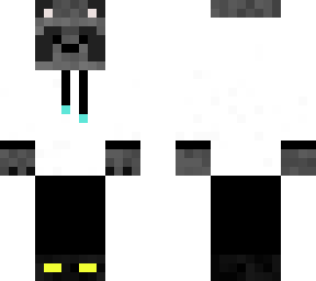 raccoon