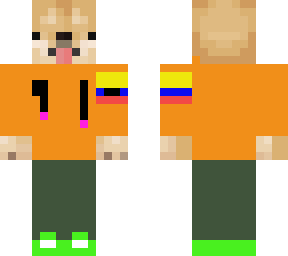 skin ecuatoriana perro
