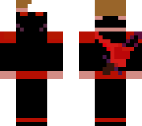 the ninja