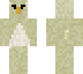 barn owl