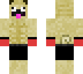 boxing pug