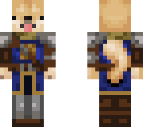 knight doge