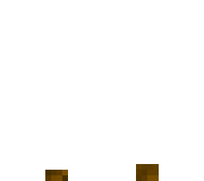 lost shoe