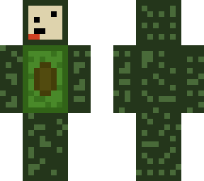 palta24